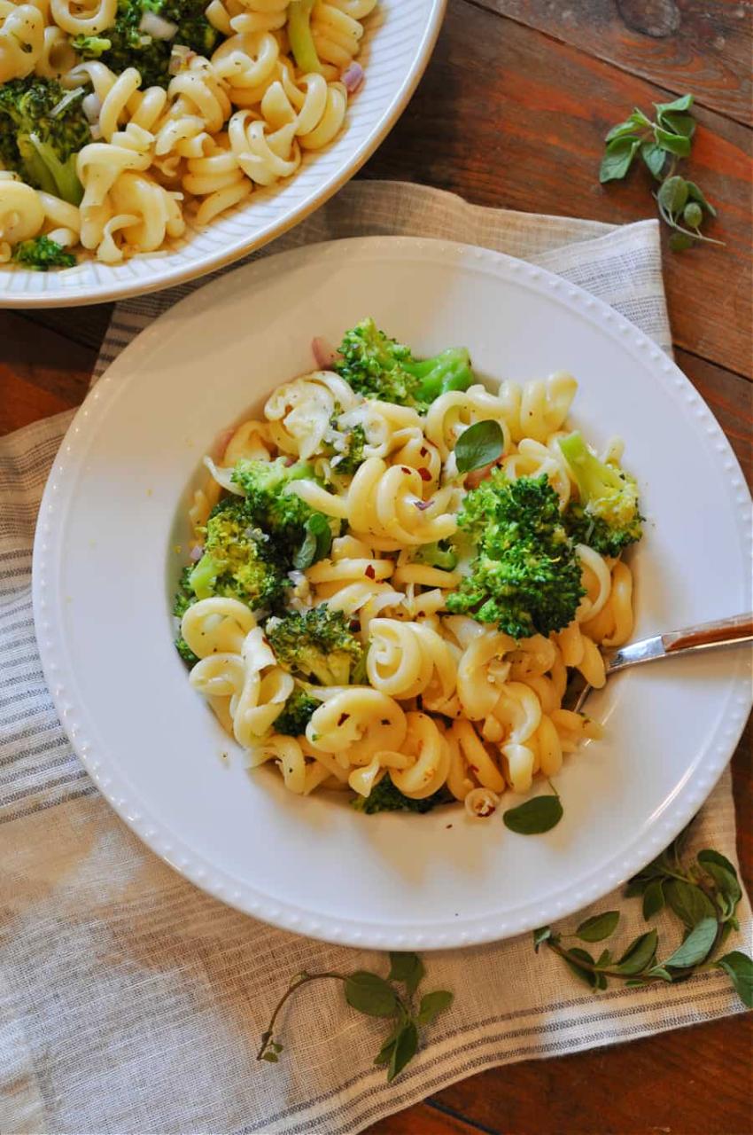 Quick and Easy Vegan Broccoli Pasta - Rabbit and Wolves